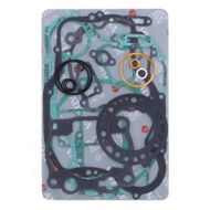 Complete Gasket Kit (oil seals not included)