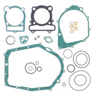 Complete Gasket Kit (oil seals not included)