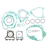 Complete Gasket Kit (oil seals not included)