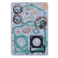 Complete Gasket Kit (oil seals not included)