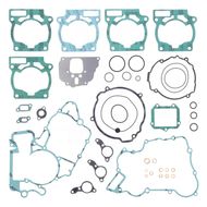 Complete Gasket Kit (oil seals not included)