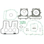 Complete Gasket Kit (oil seals not included)