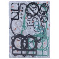 Complete Gasket Kit (oil seals not included)