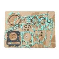 Complete Gasket Kit (oil seals not included)