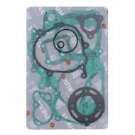 Complete Gasket Kit (oil seals not included)