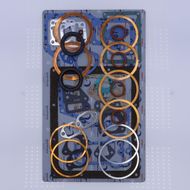Complete Gasket Kit with Cylinder Head Gasket and Oil Seals