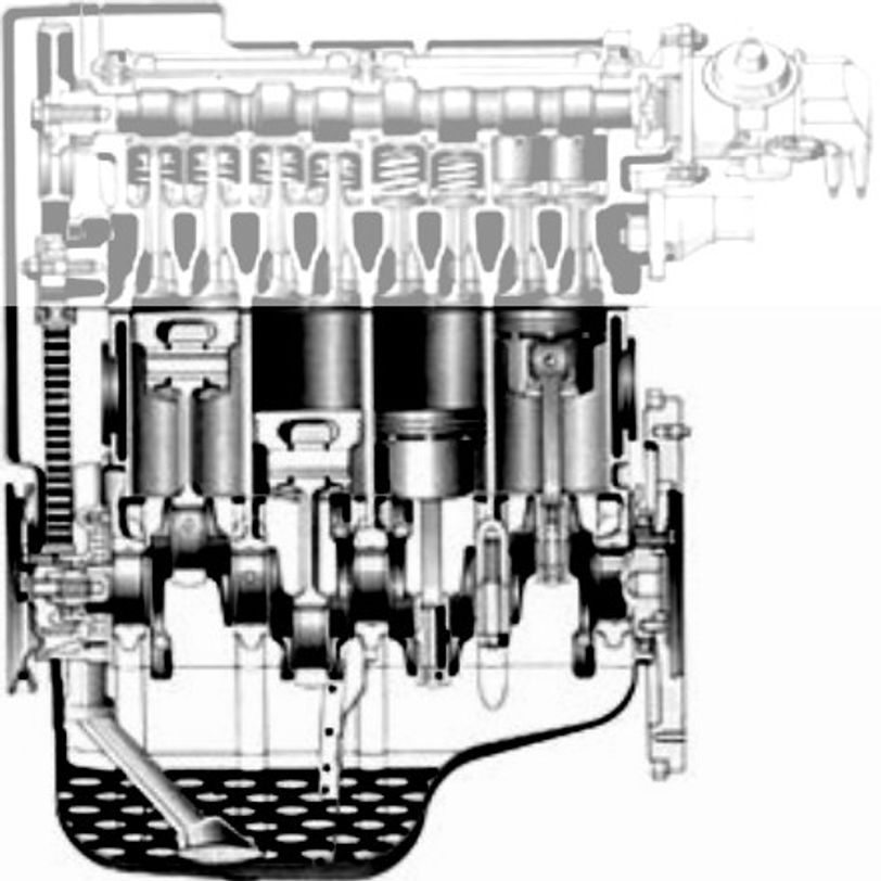 Conversion Kit with Oil Seals Athena
