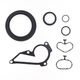 Conversion Kit with Oil Seals