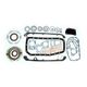 Conversion Kit with Oil Seals