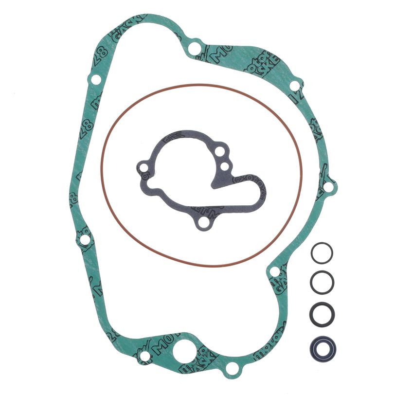 Crankcase gaskets series