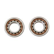 Crankshaft Bearing Kit