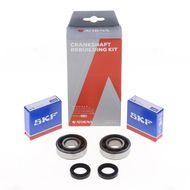 Crankshaft Rebuilding Kit: Bearing and Oil Seal Kit