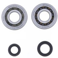 Crankshaft Rebuilding Kit: Bearing and Oil Seal Kit