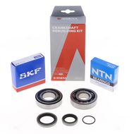 Crankshaft Rebuilding Kit: Bearing and Oil Seal Kit