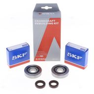 Crankshaft Rebuilding Kit: Bearing and Oil Seal Kit