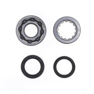 Crankshaft Rebuilding Kit: Bearing and Oil Seal Kit