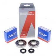 Crankshaft Rebuilding Kit: Bearing and Oil Seal Kit