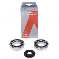 Crankshaft Rebuilding Kit: Bearing and Oil Seal Kit