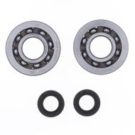 Crankshaft Rebuilding Kit: Bearing and Oil Seal Kit