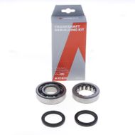 Crankshaft Rebuilding Kit: Bearing and Oil Seal Kit