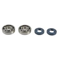 Crankshaft Rebuilding Kit: Bearing and Oil Seal Kit