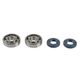 Crankshaft Rebuilding Kit: Bearing and Oil Seal Kit