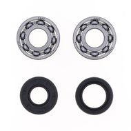 Crankshaft Rebuilding Kit: Bearing and Oil Seal Kit
