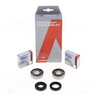 Crankshaft Rebuilding Kit: Bearing and Oil Seal Kit
