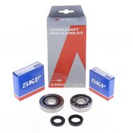 Crankshaft Rebuilding Kit: Bearing and Oil Seal Kit