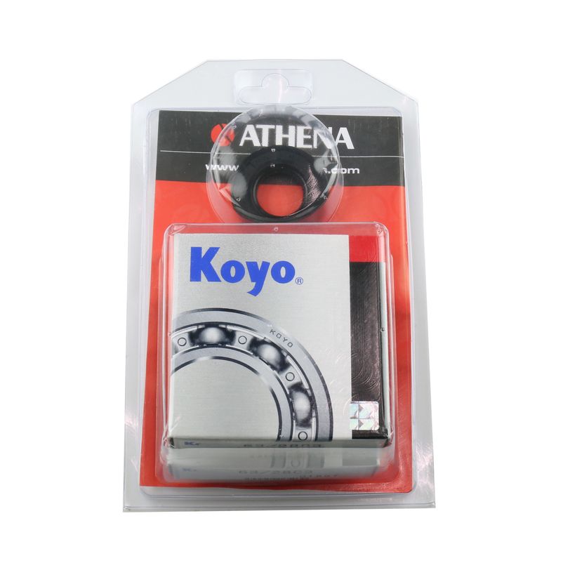 Crankshaft Rebuilding Kit: Bearing and Oil Seal Kit