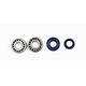 Crankshaft Rebuilding Kit: Bearing and Oil Seal Kit