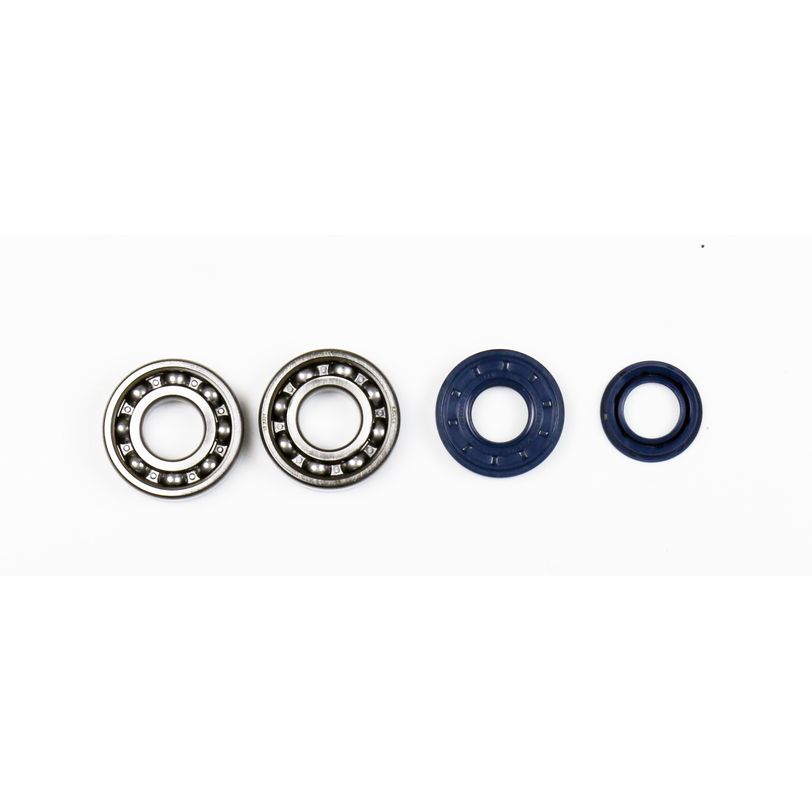 Crankshaft Rebuilding Kit: Bearing and Oil Seal Kit
