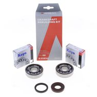 Crankshaft Rebuilding Kit: Bearing and Oil Seal Kit