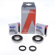 Crankshaft Rebuilding Kit: Bearing and Oil Seal Kit