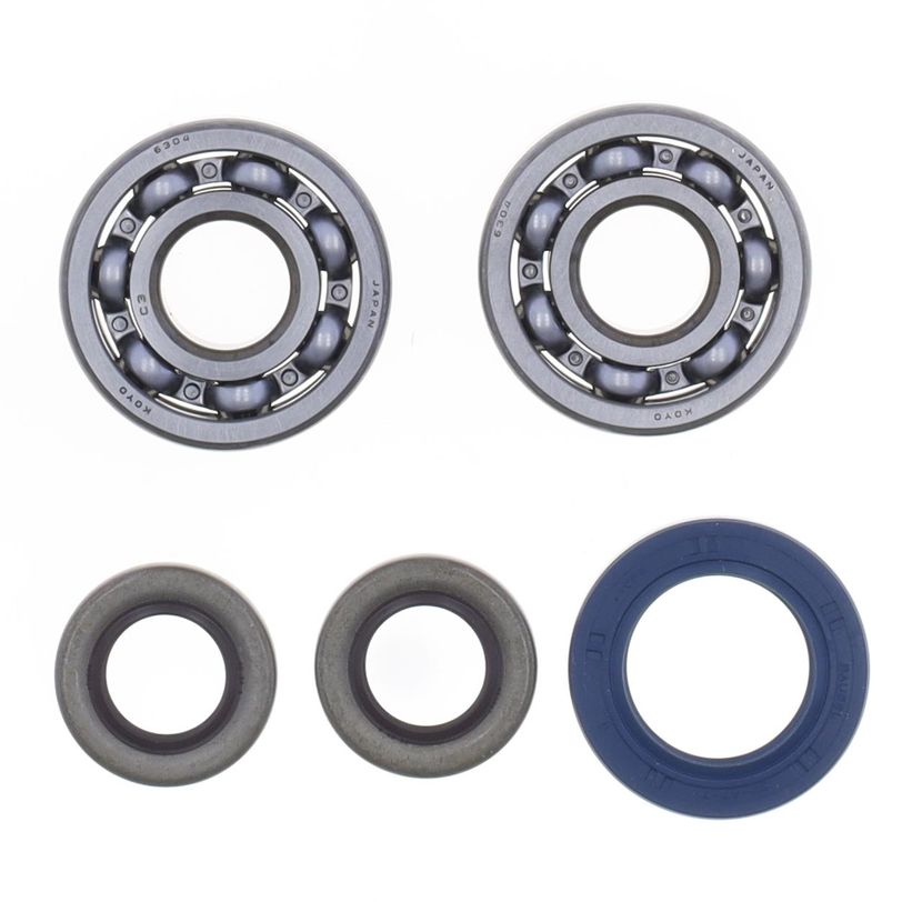 Crankshaft Rebuilding Kit: Bearing and Oil Seal Kit