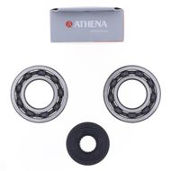 Crankshaft Rebuilding Kit: Bearing and Oil Seal Kit