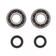 Crankshaft Rebuilding Kit: Bearing and Oil Seal Kit
