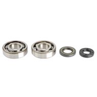 Crankshaft Rebuilding Kit: Bearing and Oil Seal Kit