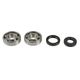 Crankshaft Rebuilding Kit: Bearing and Oil Seal Kit
