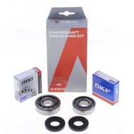 Crankshaft Rebuilding Kit: Bearing and Oil Seal Kit