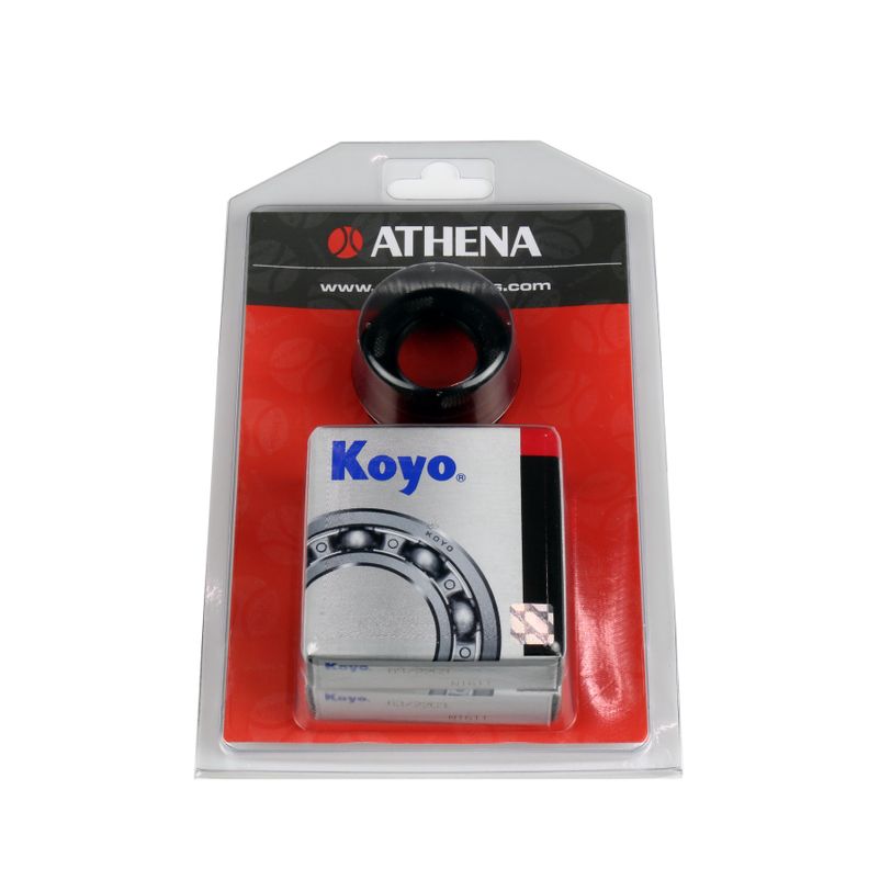 Crankshaft Rebuilding Kit: Bearing and Oil Seal Kit