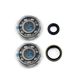 Crankshaft Rebuilding Kit: Bearing and Oil Seal Kit