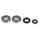 Crankshaft Rebuilding Kit: Bearing and Oil Seal Kit