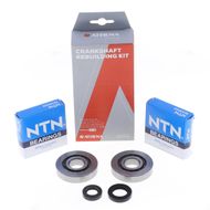 Crankshaft Rebuilding Kit: Bearing and Oil Seal Kit