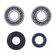 Crankshaft Rebuilding Kit: Bearing and Oil Seal Kit