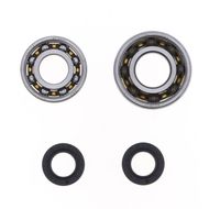 Crankshaft Rebuilding Kit: Bearing and Oil Seal Kit