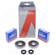 Crankshaft Rebuilding Kit: Bearing and Oil Seal Kit