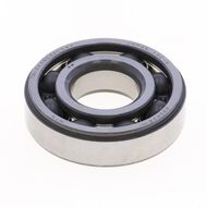 Cuscinetto TM-SX06C42CS44 - NTN