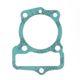 Cylinder Base Gasket