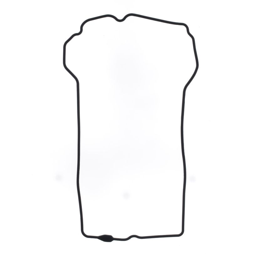 Cylinder Head Cover Gasket